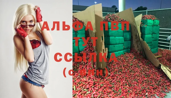 индика Вуктыл