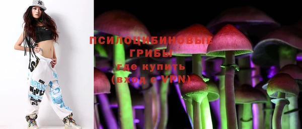 мдпв Володарск