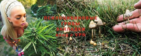 прущие крисы Волоколамск