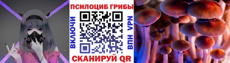 Псилоцибиновые грибы Psilocybine cubensis  mega зеркало  Елец 